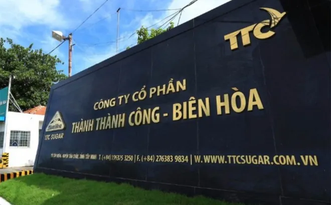 SBT vào đợt tái cơ cấu lớn: TTC Investment thoái sạch, bà Huỳnh Bích Ngọc bán gần hết