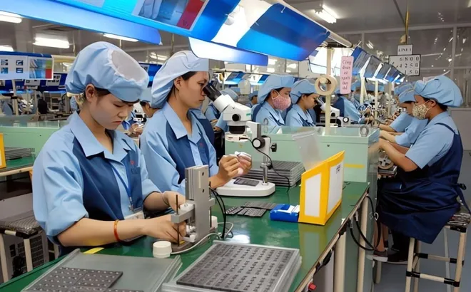 'Không thể ứng xử với DN ngừng hoạt động như DN trốn thuế'